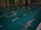 Szkolne zawody pływackie V 2014r